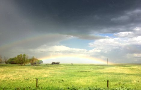 Full Arch Bow
