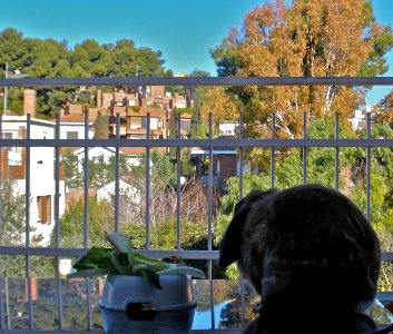 Breakfast outside