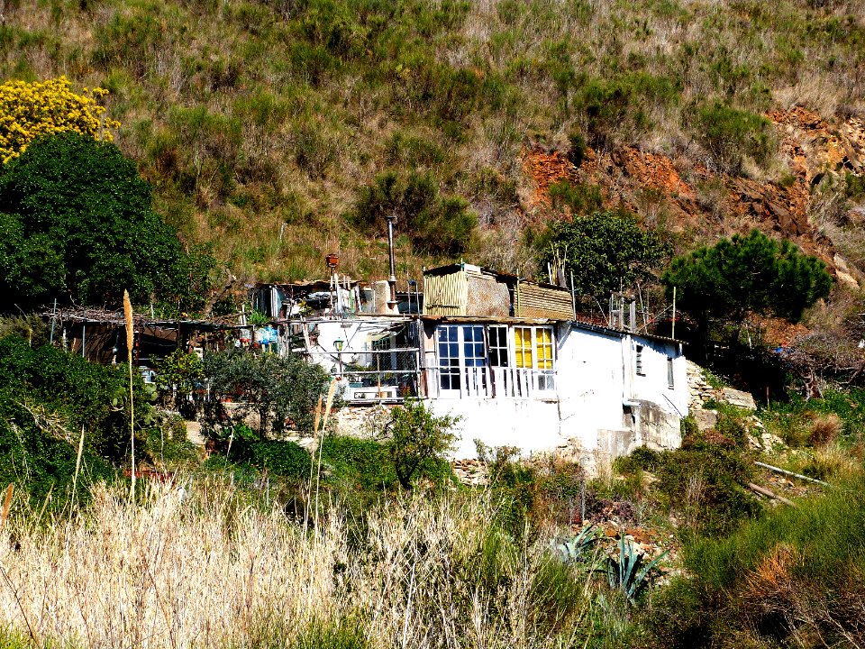 Risky living