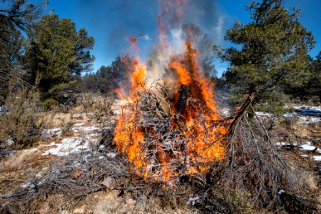 20181203-FS-KAIBAB-LSC-0474 1