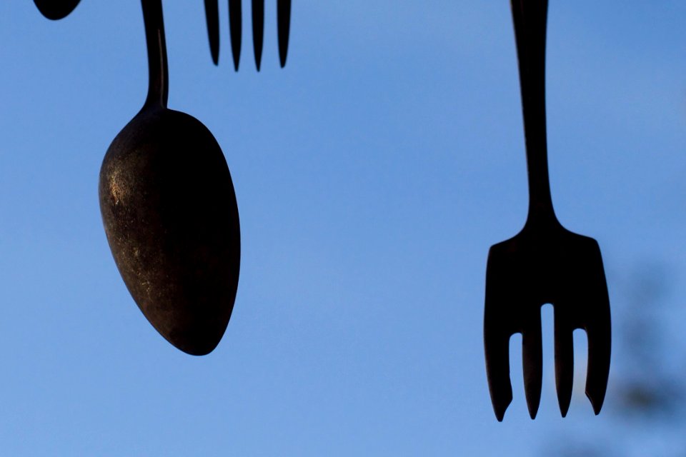 The Salad Fork Goes on the LEFT