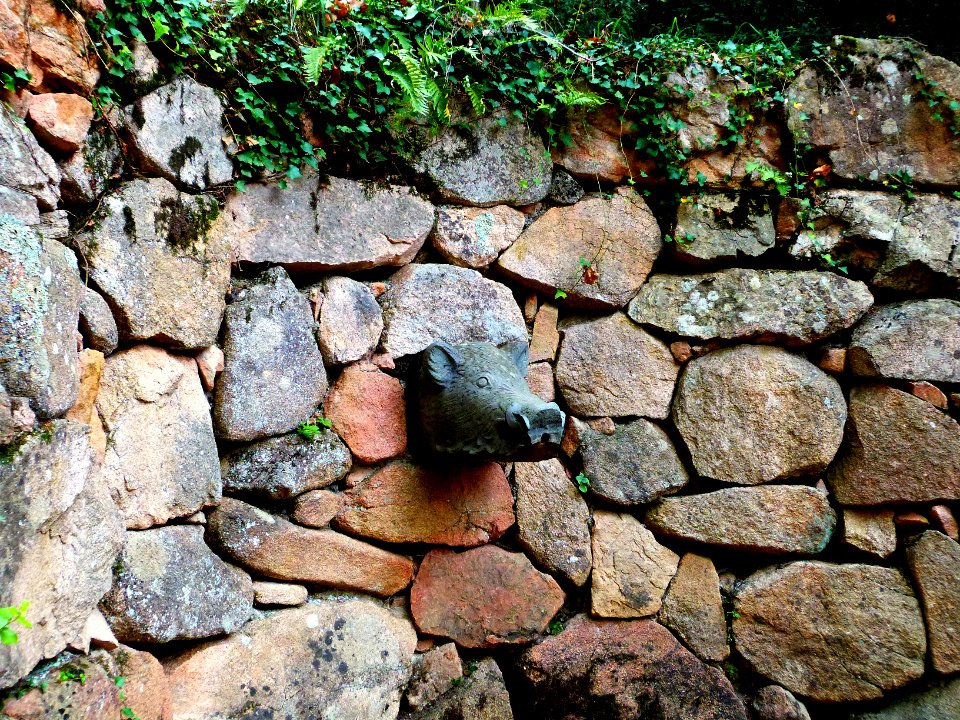 Hiking at Gualba (Montseny)