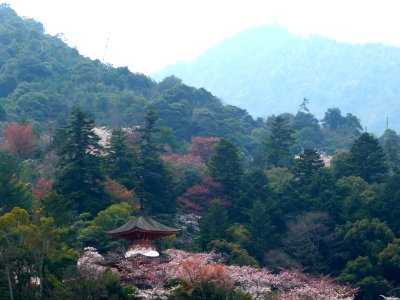 Kyoto day 4: Hiroshima, Miyajima