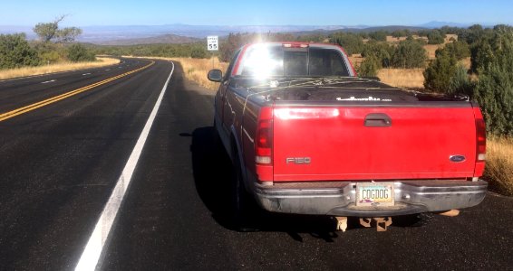 Red Dog On the Road Again
