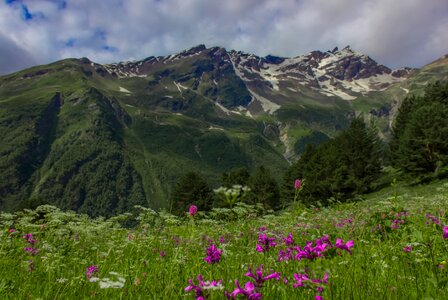 Northern caucasus nature height photo