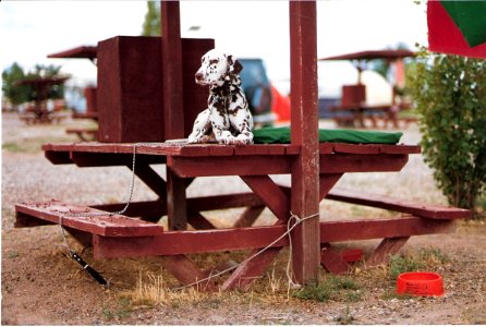 KOA Kamping (Holbrook, AZ 1987)
