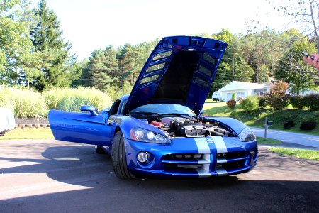 My Buddies  Viper