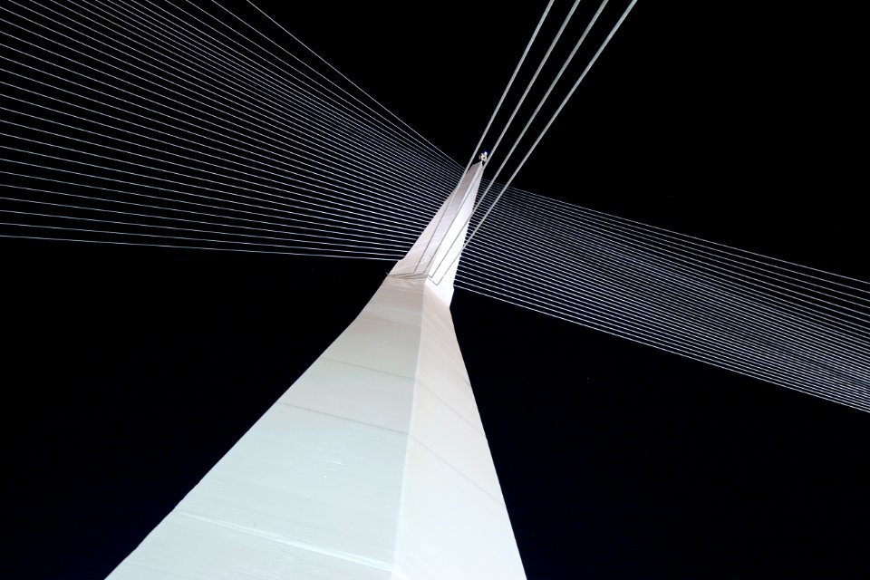 Bridge of Strings