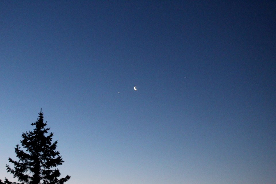 Becoming of Morning