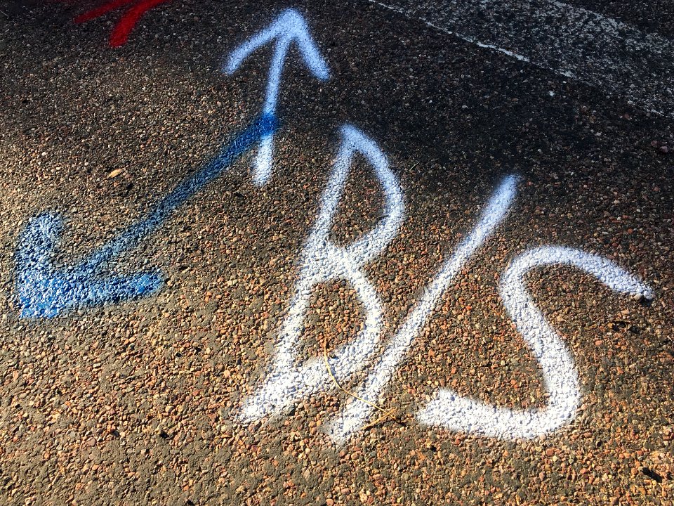 The BS is Everywhere