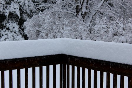 December 1 & 2 Snow Fall- 2019