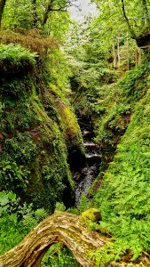 Devil's Pulpit / Finnich Glen photo