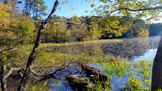 Daingerfield State Park