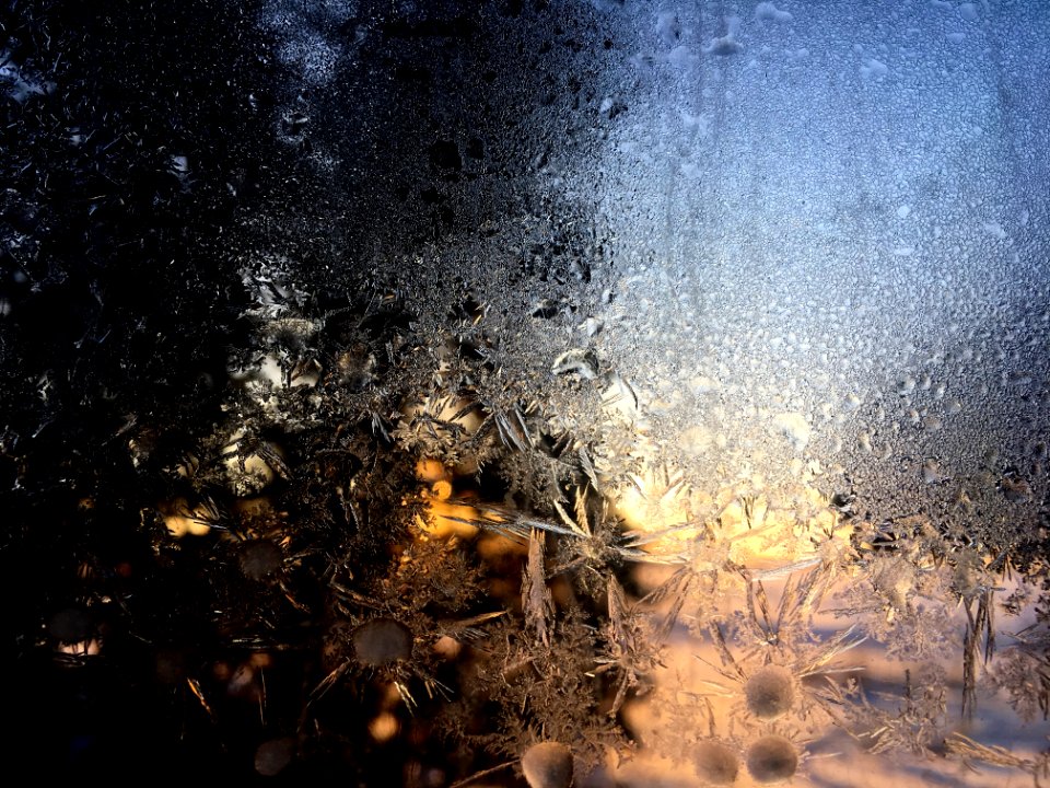 Frosted Sun Flakes