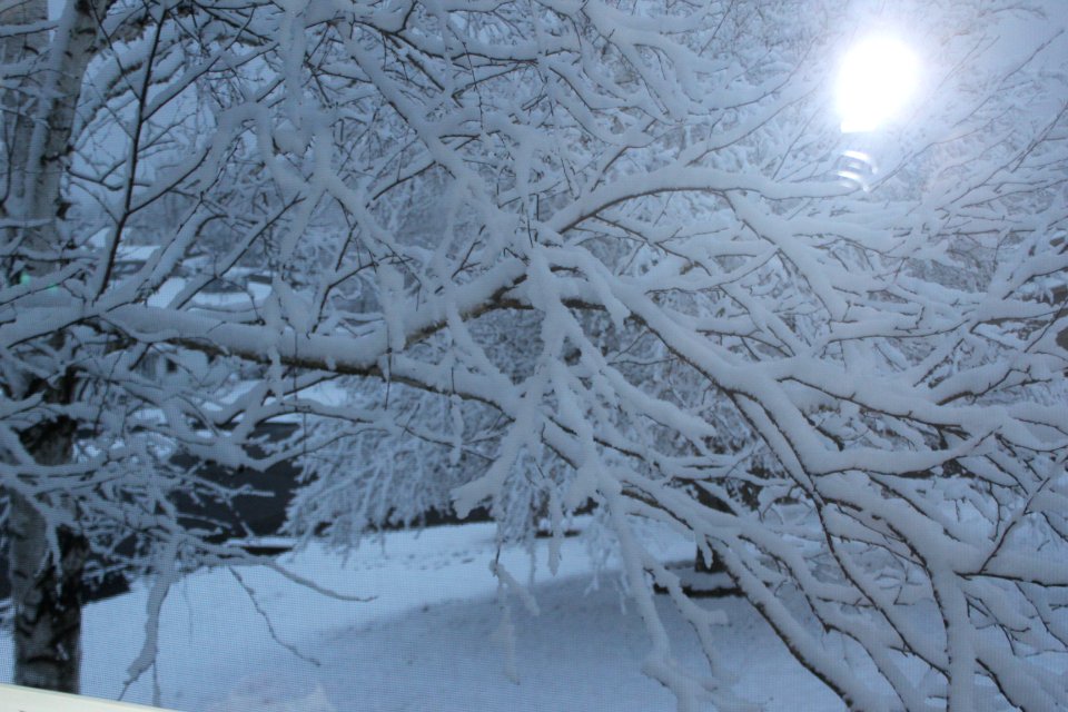 Yesterdays Snow 4/18