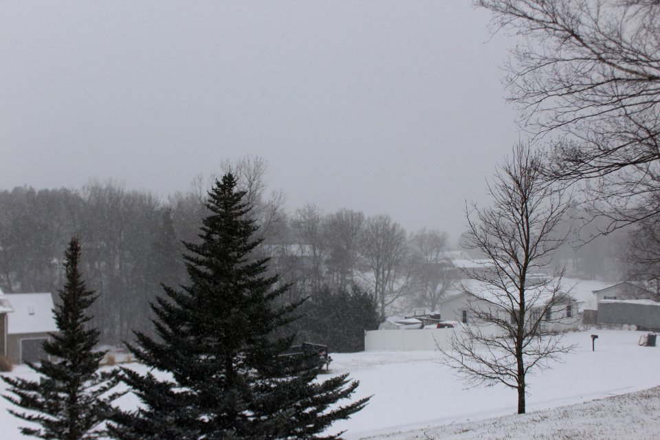 New York Snow
