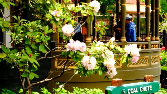 Winchester Mystery House