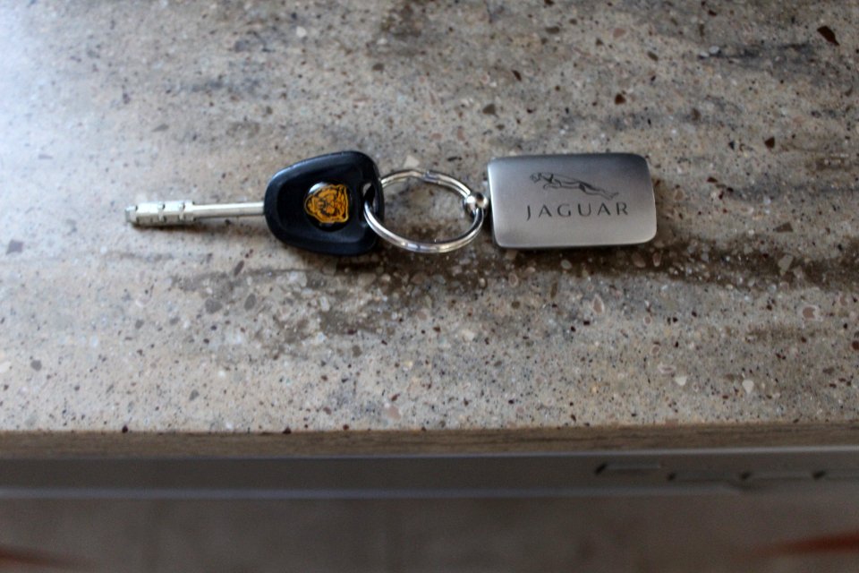 Jaguar Keys