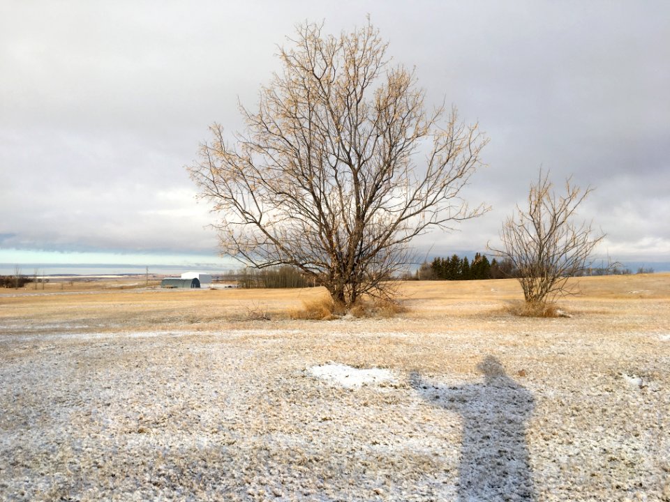 Hello, Saskatchewan Spring