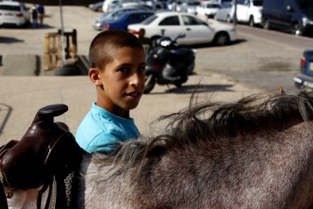 Donkey, Boy