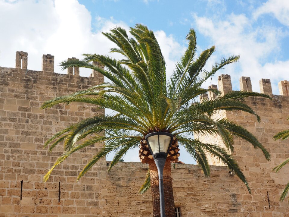 Porta del moll porta de xara alcúdia