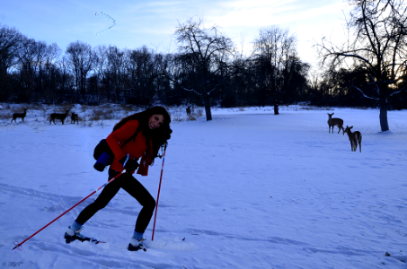 Tina Louise Thomas - Cross-Country Skiing photo