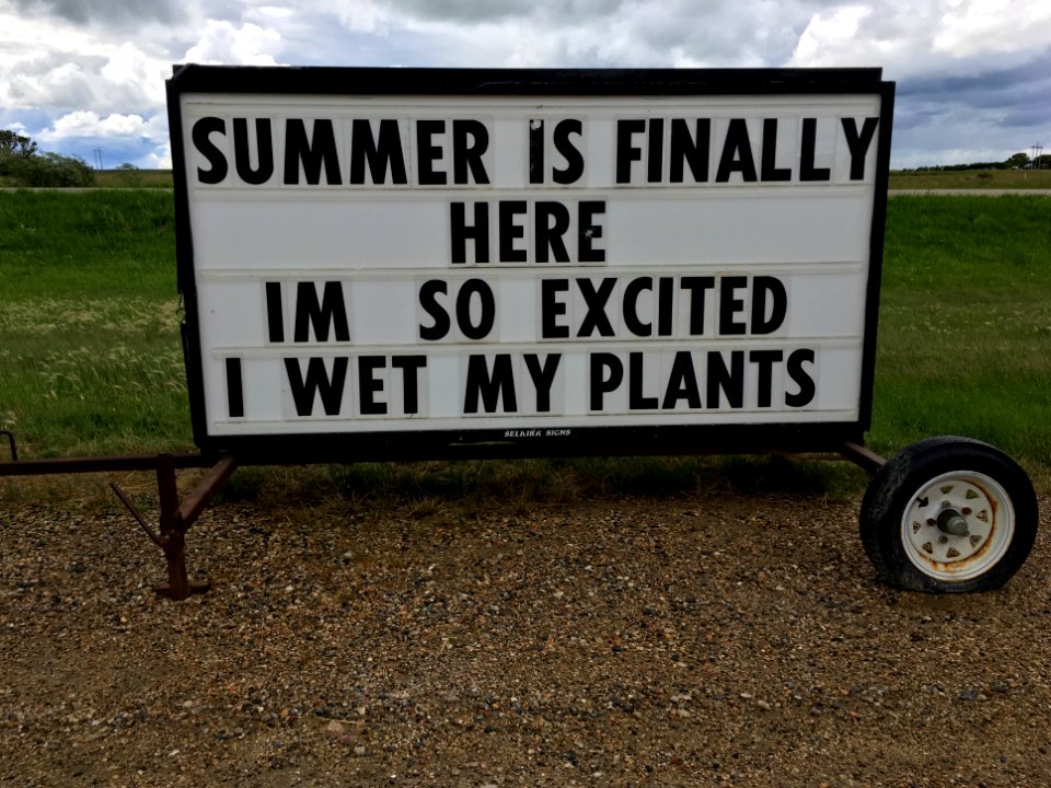 Summer Excitement