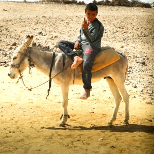 Bedouin photo