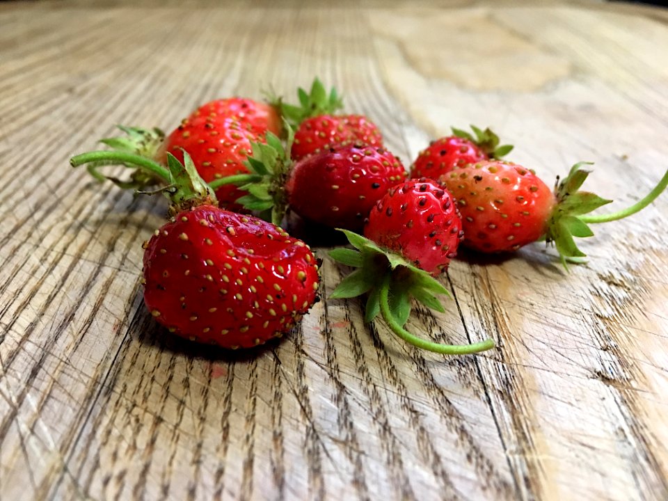 Mega Berry Harvest