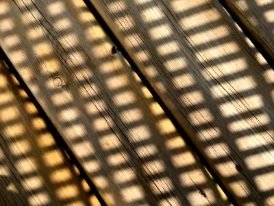 Shadow Coordinate System