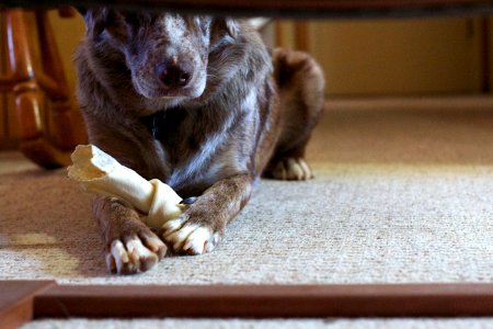 Blind Bone Survey