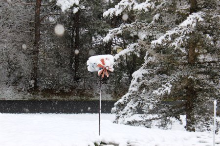 Yesterdays Snow 4/18