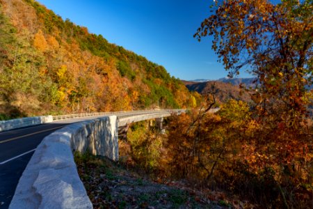 Foothills Parkway, November 2018--Joye Ardyn Durham