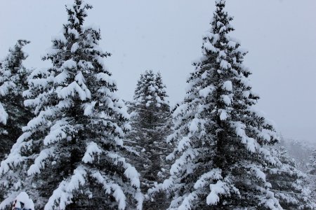 December 1 & 2 Snow Fall- 2019