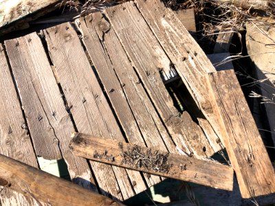 2021/365/111 Planks