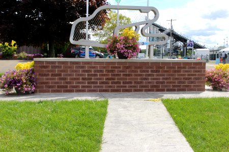 The Track