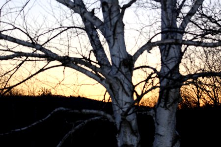 March's Sunset