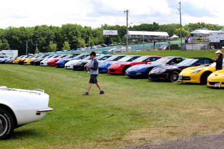 Corvette's