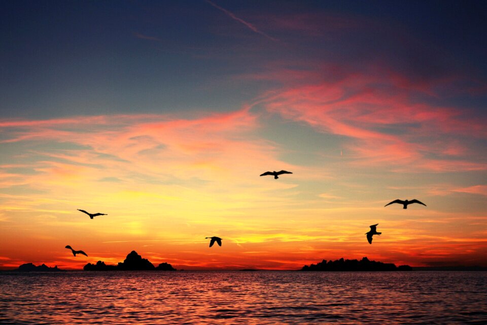 Evening sky beach sunlight