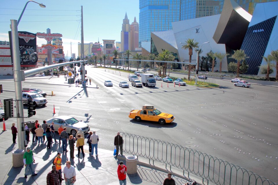 Nevada gambling gamble