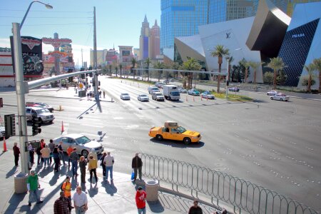 Nevada gambling gamble