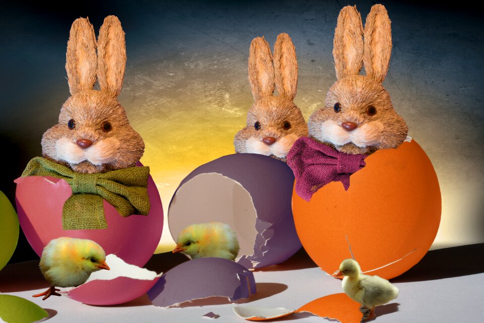 Rabbit chicks greeting card