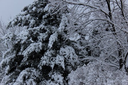 December 1 & 2 Snow Fall- 2019