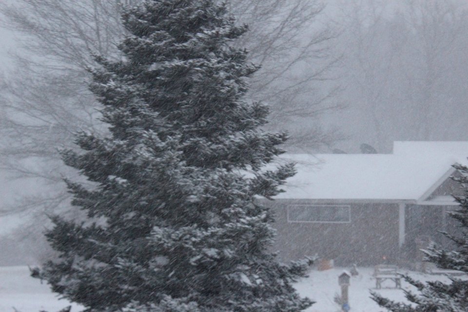New York Snow