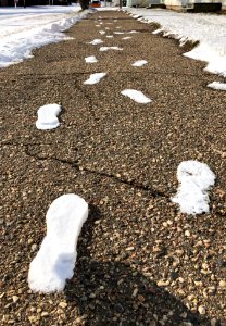Tracking Your Tracks
