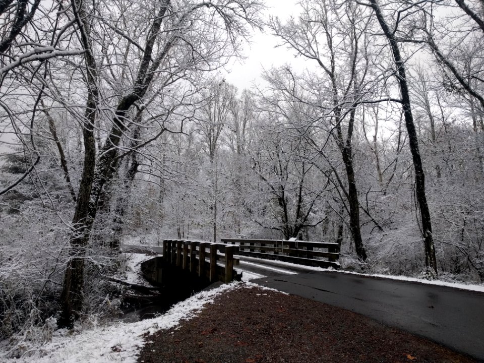 Early season snow in Cades Cove--Basia Gawin, 11/12/19