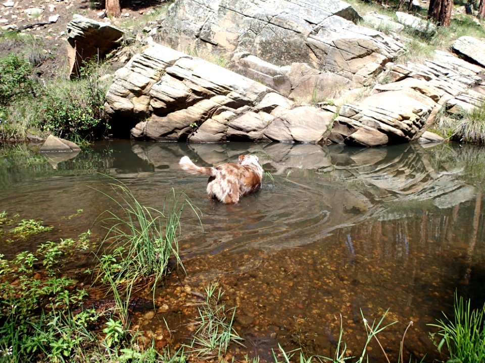 Our Own Swimming Hole