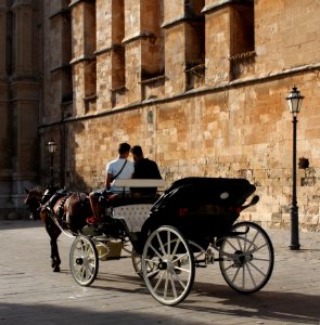 Horse-drawn carriage, Lisbon. photo