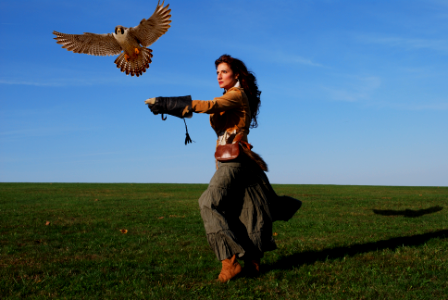 Tina Louise Thomas - Lady Falconry, ancient sport of Kings, and their Queens. photo