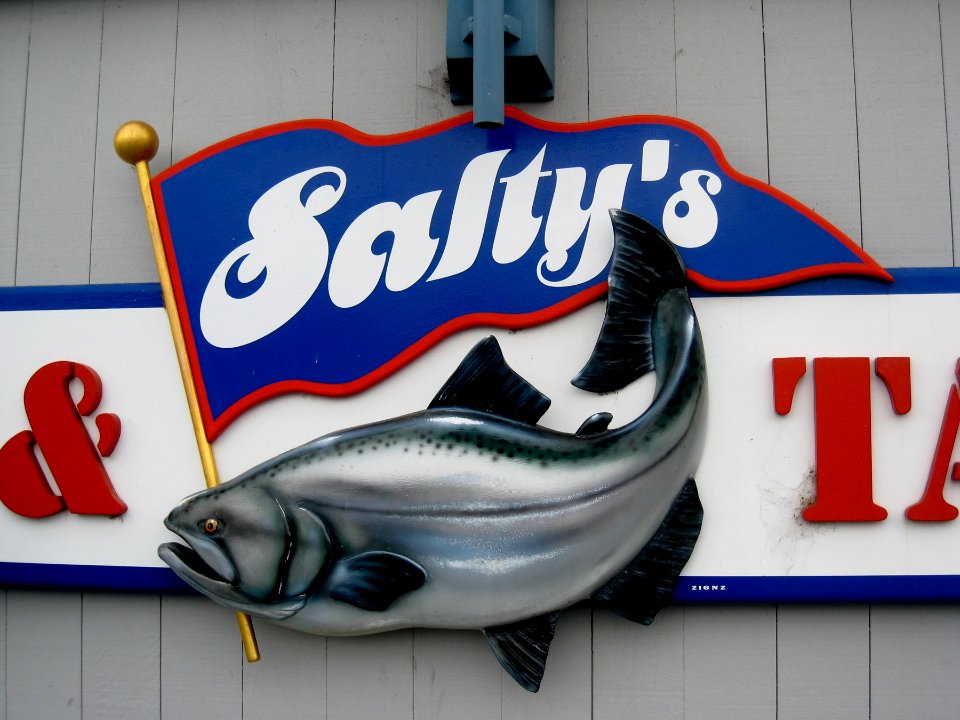 Salty's Bait Shop